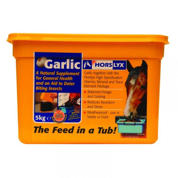 Horslyx Garlic Stable Lick Refill 5kg #1 image