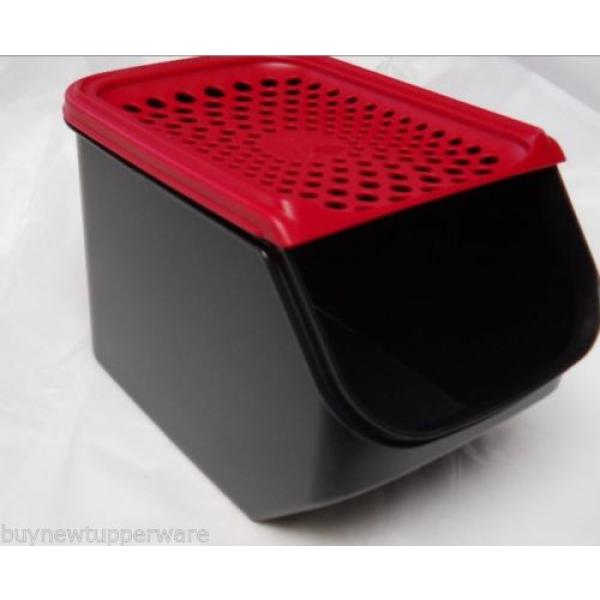 Tupperware Black Onion &amp; Garlic Smart Storage &amp; Access Vented Red Lid 3qt/3L New #1 image