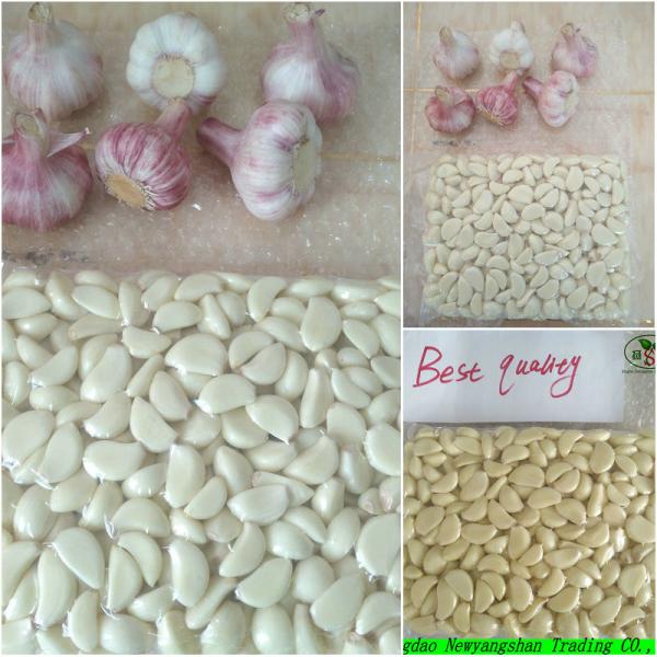 Garlic 2017 year china new crop garlic Puree/  Garlic  Clove/  Garlic  Meat #2 image