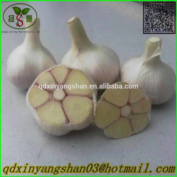 Hot 2017 year china new crop garlic Sale  Chinese  Garlic  With  A Purple White Skin Outside And Each Clove Purple White Skin Inside #2 image
