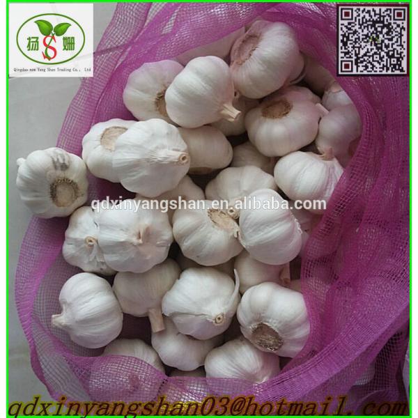 Heallth 2017 year china new crop garlic Benifits  Vegetable  China  Spicy  Garlic #1 image