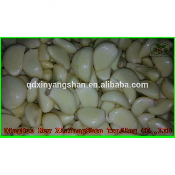 Heallth 2017 year china new crop garlic Benifits  Vegetable  China  Spicy  Garlic #4 image