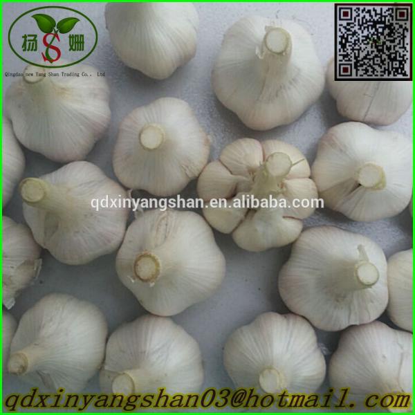 Chinese 2017 year china new crop garlic White  Garlic  Price  Professional  Exporter In China #1 image
