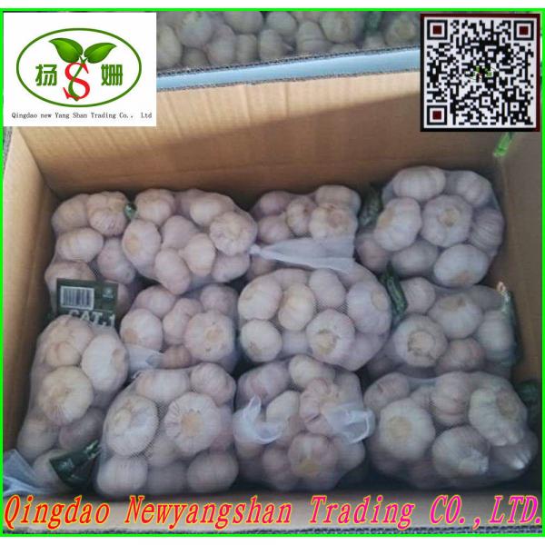 China&#39;s 2017 year china new crop garlic fresh  garlic  -  shandong  #5 image