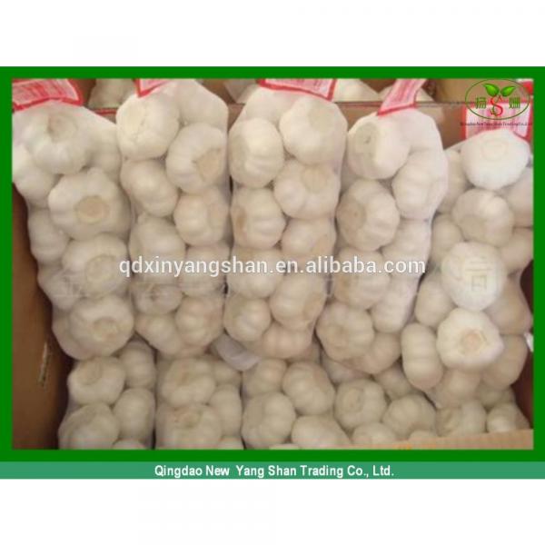Fresh 2017 year china new crop garlic Garlic  For  Sale  China  Garlic Packing In Mesh Bag #2 image
