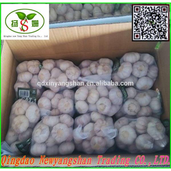 Professional 2017 year china new crop garlic Garlic  Exporter  In  China  Wholesale Chinese Garlic Packing In 10KG Boxes #2 image