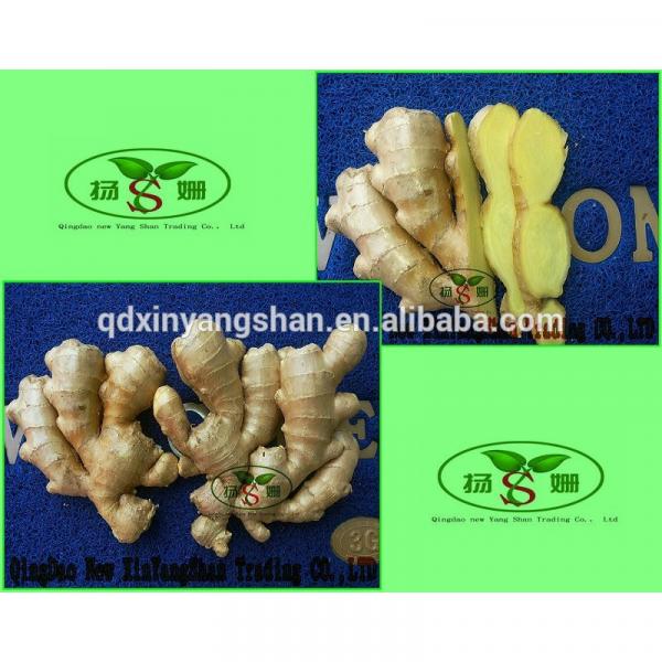 (HOT) 2017 year china new crop garlic Shandong  Purple  Garlic  Product  Exporte to Dubai 10kg/Carton #4 image