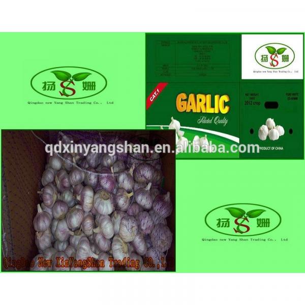 (HOT) 2017 year china new crop garlic Shandong  Purple  Garlic  Product  Exporte to Dubai 10kg/Carton #2 image