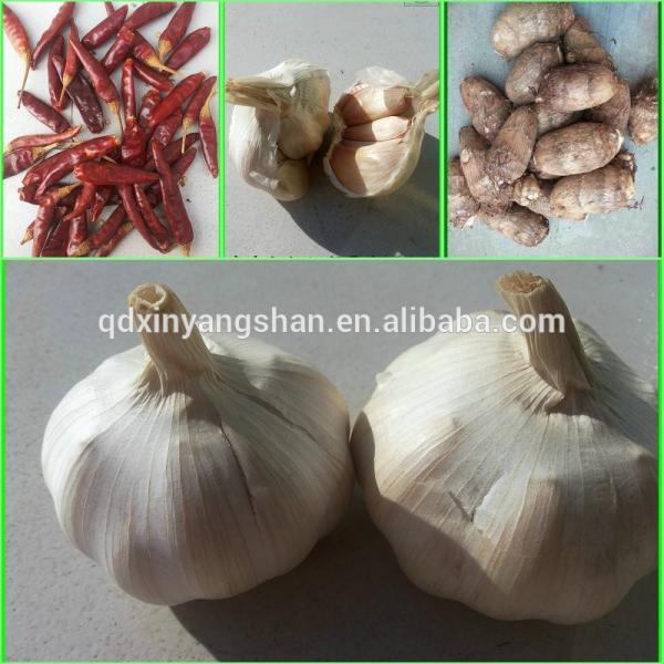 [HOT]Fresh 2017 year china new crop garlic Garlic  by  5kg/10kg/  small  pakage #4 image