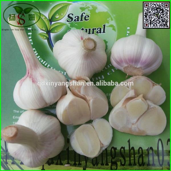 Chinese 2017 year china new crop garlic White  Garlic  Price  Professional  Exporter In China #2 image