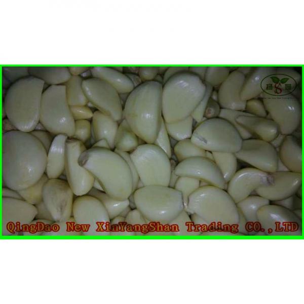 Professional 2017 year china new crop garlic Chinese  Garlic  Supplier  Health  Benifits Fresh White Garlic #4 image