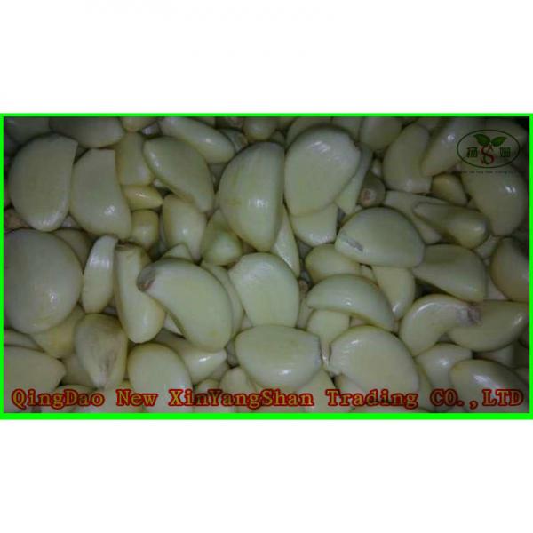 Garlic 2017 year china new crop garlic Production  Peeled  Garlic  Wholesale  Price #1 image