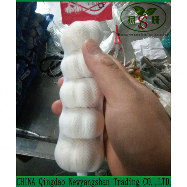 Fresh 2017 year china new crop garlic Chinese  Garlic  Wholesale  Price  #5 image