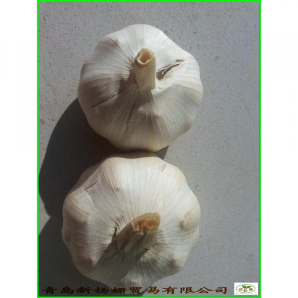Garlic 2017 year china new crop garlic Wholesale  Price  Per  Ton  normal/Pure/peeled White Garlic #1 image