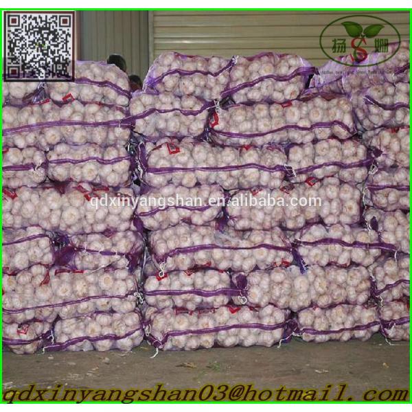Shandong 2017 year china new crop garlic Garlic  Wholesale  Export  Price  2017 #2 image