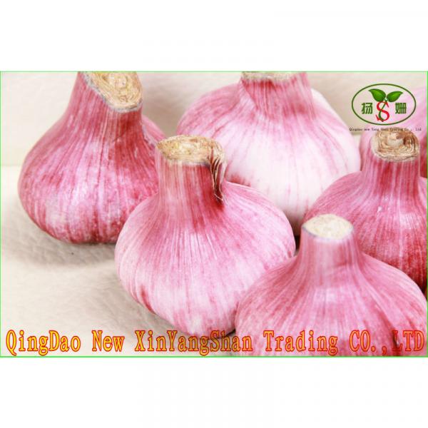 2017 2017 year china new crop garlic Fresh  Garlic  Price  Chinese  Garlic #1 image