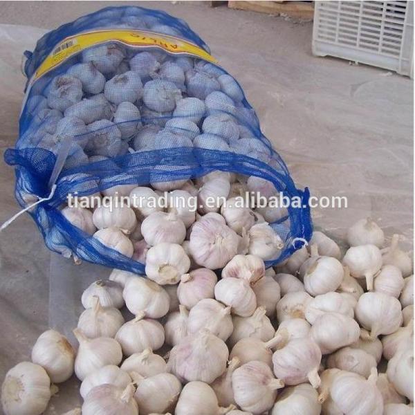 Chinese 2017 year china new crop garlic Garlic     #1 image