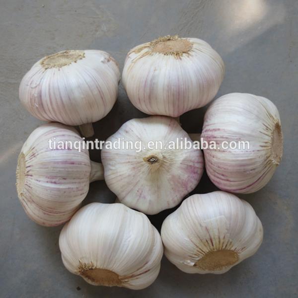 2017 2017 year china new crop garlic Chinese  Garlic  New  Crop  #3 image