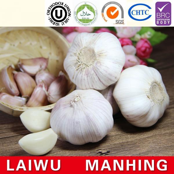 Organic 2017 year china new crop garlic normal  pure  white  fresh  garlic price #1 image