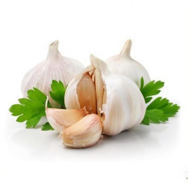ISO 2017 year china new crop garlic Global  GAP  HACCP  KOSHER  JAS certification fresh style garlic #3 image