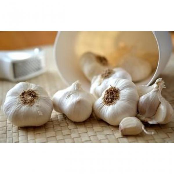 2017 2017 year china new crop garlic normal  white  fresh  garlic  with good price #2 image