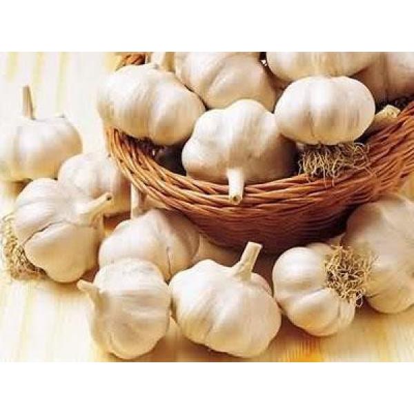 ISO 2017 year china new crop garlic 9001  fresh  chinese  white  garlic #5 image