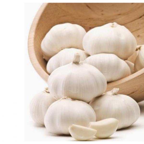 Cheap 2017 year china new crop garlic Wholesale  Natural  white  fresh  garlic with mesh bag or ctn #4 image