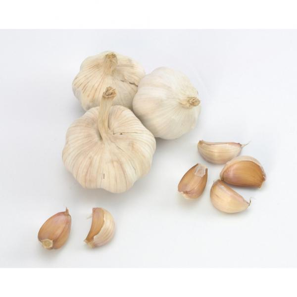 Cheap 2017 year china new crop garlic Wholesale  Natural  white  fresh  garlic with mesh bag or ctn #2 image