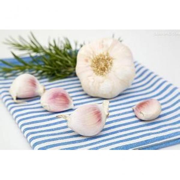 ISO 2017 year china new crop garlic 9001  fresh  chinese  white  garlic #3 image