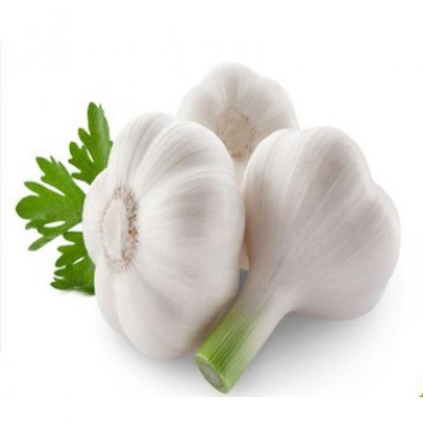 Wholesale 2017 year china new crop garlic Natural  white  fresh  garlic  with mesh bag or ctn #3 image