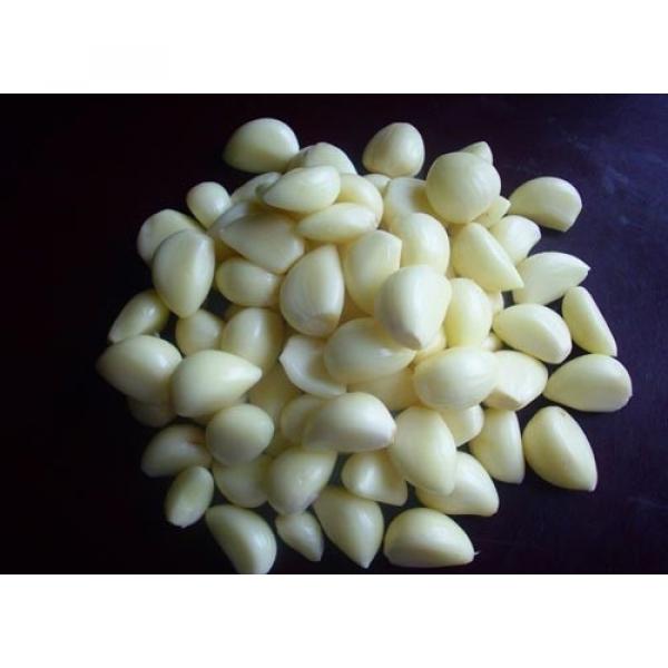 Wholesale 2017 year china new crop garlic normal  white  fresh  garlic  with mesh bag or ctn #2 image