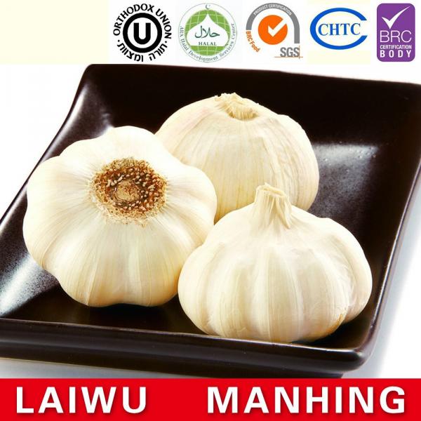 ISO 2017 year china new crop garlic 9001  fresh  chinese  natural  white garlic #1 image