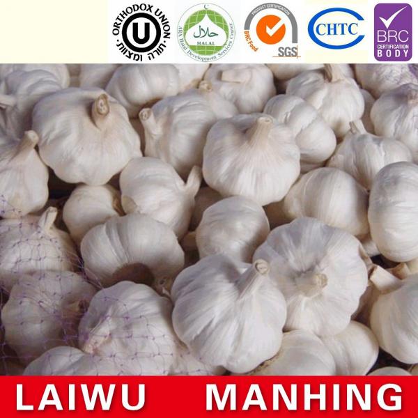 ISO 2017 year china new crop garlic 9001  fresh  chinese  white  garlic #2 image