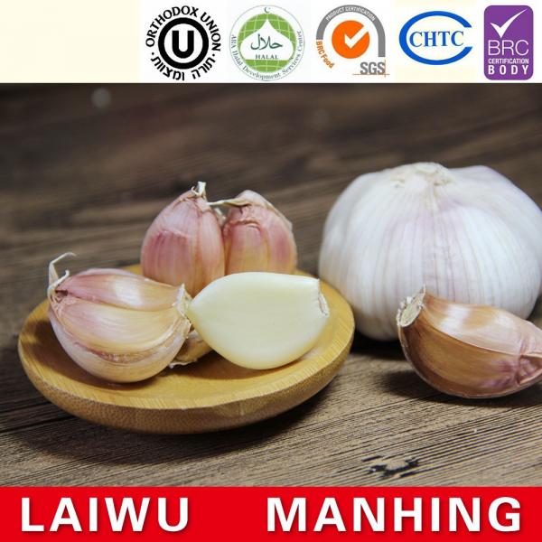 China 2017 year china new crop garlic Normal  white  fresh  garlic  for hot selling #1 image