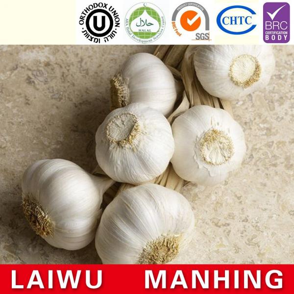 ISO 2017 year china new crop garlic Global  GAP  HACCP  KOSHER  JAS certification fresh style garlic #2 image