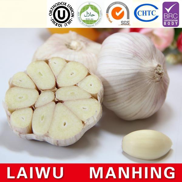 Common 2017 year china new crop garlic Cultivation  Liliaceous  Vegetables  garlic  fresh #1 image