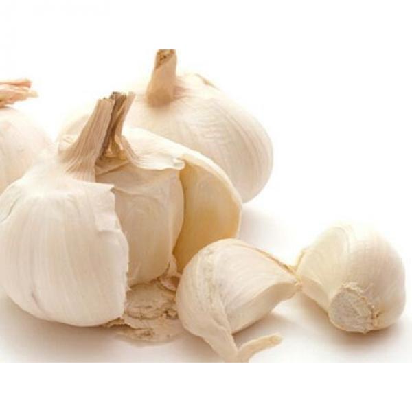 2017 2017 year china new crop garlic fresh  5.5  natural  white  garlic #1 image