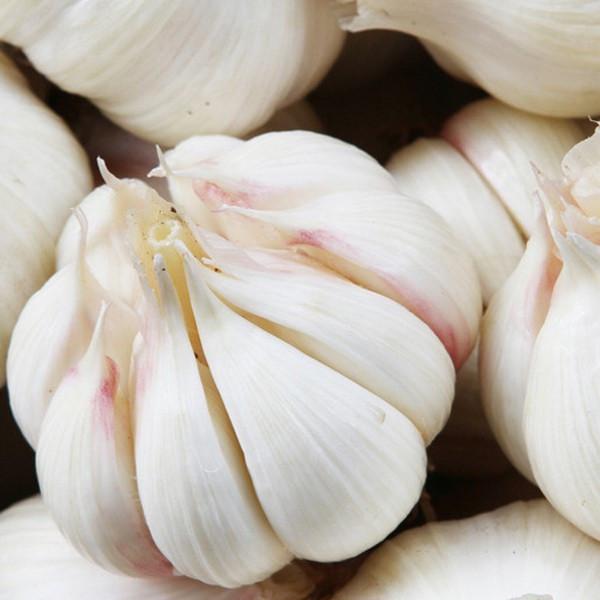 2017 2017 year china new crop garlic fresh  5.5  natural  white  garlic #3 image