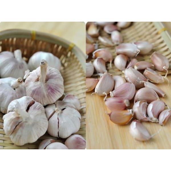 2017 2017 year china new crop garlic fresh  5.5  natural  white  garlic #4 image