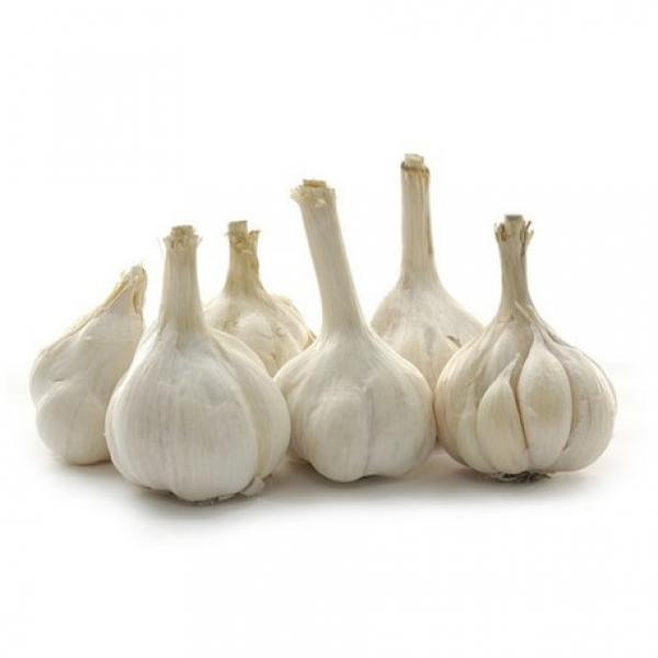 Hot 2017 year china new crop garlic sale  fresh  Chinese  normal  white garlic #3 image