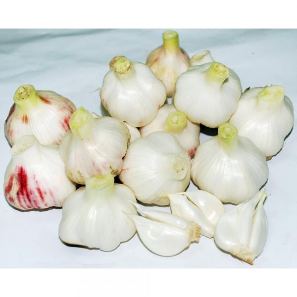 Wholesale 2017 year china new crop garlic normal  white  fresh  garlic  with mesh bag or ctn #1 image