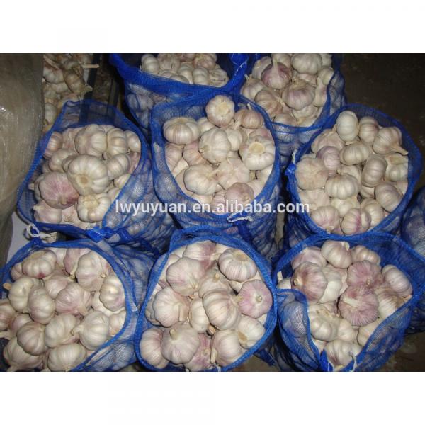 YUYUAN 2017 year china new crop garlic brand  hot  sail  fresh  garlic garlic flake #2 image