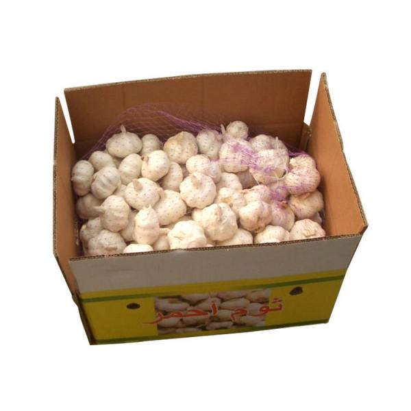 Alibaba 2017 year china new crop garlic high  quality  agricultural  product  chinese garlic with low price #4 image