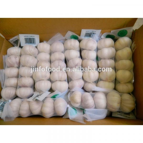5pcs 2017 year china new crop garlic pure  white  garlic   #1 image