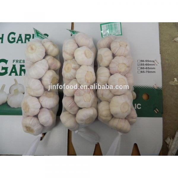 1kg 2017 year china new crop garlic /bag  white  garlic   #2 image