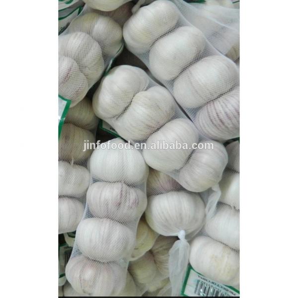 White 2017 year china new crop garlic garlic     #1 image