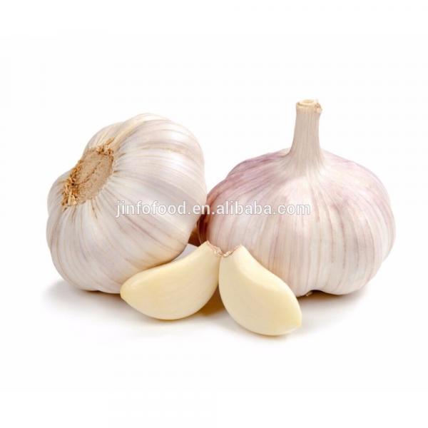 New 2017 year china new crop garlic crop  normal  white  garlic  #1 image