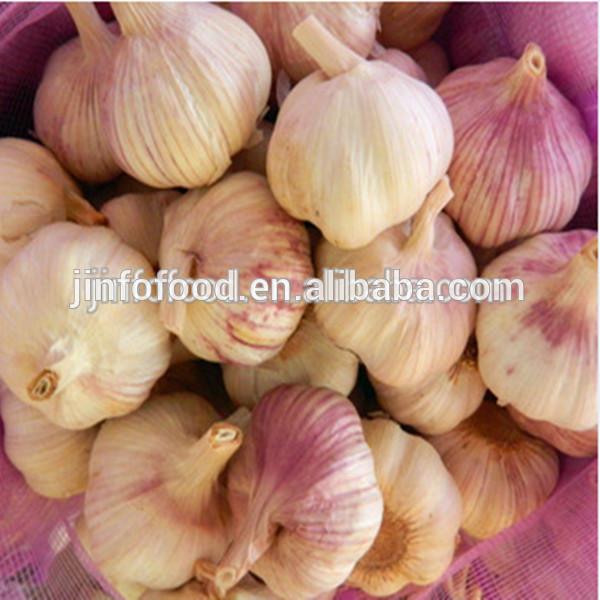 Normal 2017 year china new crop garlic white  and  pure  white  garlic #1 image