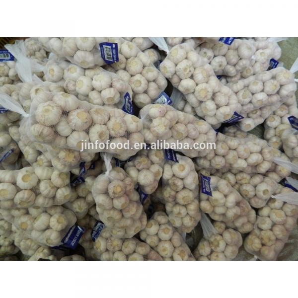 pure 2017 year china new crop garlic white  garlic    #4 image
