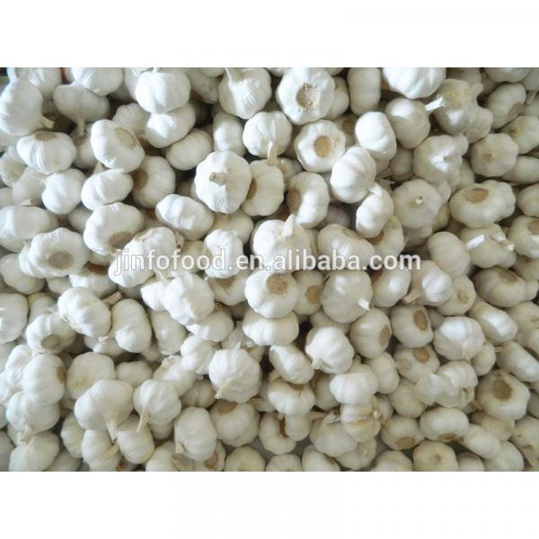 fresh 2017 year china new crop garlic pure  white  garlic   #2 image